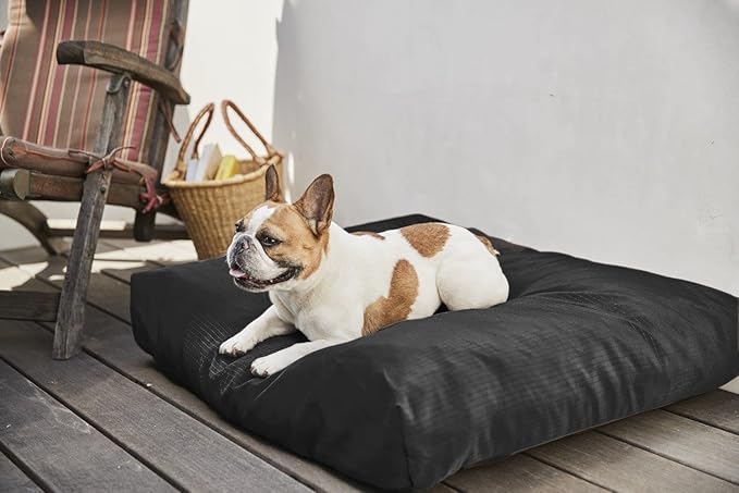 K9 Ballistics Tough Rectangle Pillow Medium Dog Bed - Removable Cover, Washable, Durable & Water Resistant Dog Bed Made for Small Dogs 24"x18" Obsidian Black