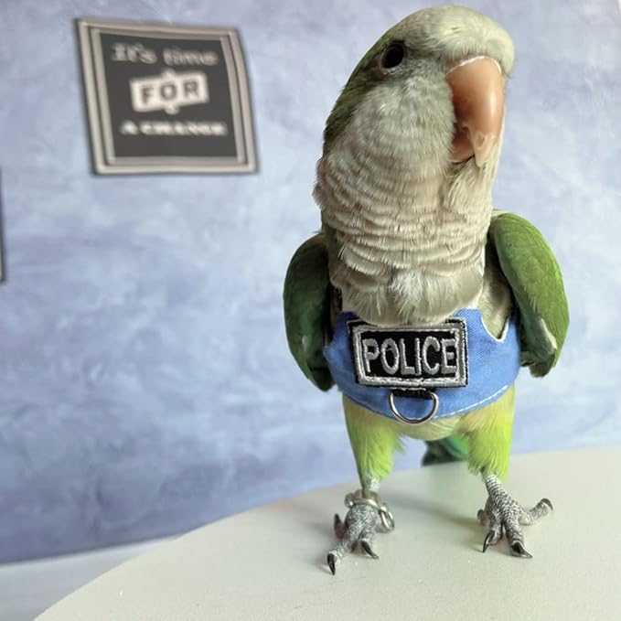 Bird Flight Harness Vest, Parrot Flight Suit with Leash, Bird Flying Clothes with Rope and Handle for Outdoor Activities (Without Leash,Blue Quaker)