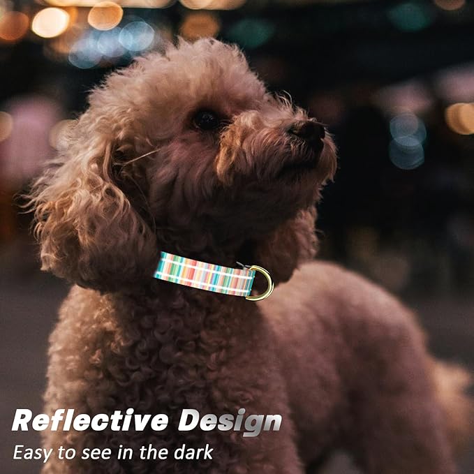Reflective Dog Collar, Cute Dog Collar for Extra Small Dogs, Soft Nylon Puppy Collar for Boy and Girl Female Dogs, Adjustable Pet Collars with Quick Release Buckle, Colorful Watercolor Art