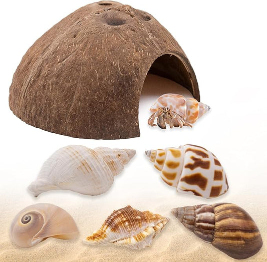 Hermit Crab Shells 1 Coconut Shell Hut 5 PCS Hermit Crab Seashells Accessories Decorations Enrichment Hut for House Hermit Crab Tank Hide Reptile Hideout