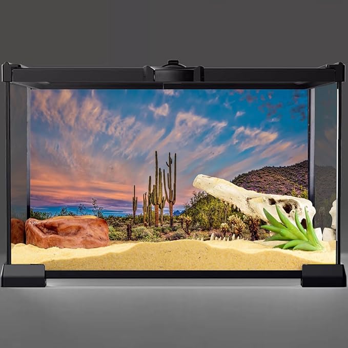 AWERT 36x18 inches Terrarium Background Blue Sky Cloud Huge Cactus Oasis Gobi Reptile Habitat Background Vinyl
