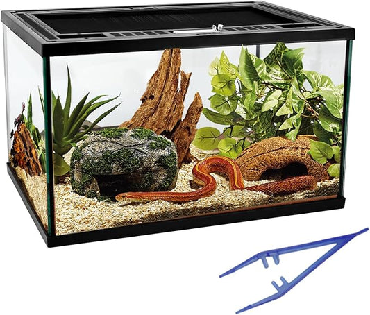 Reptile Glass Tank 16"x11"x9" Terrarium with Top Opening and Screen Ventilation for Leopard Gecko,Lizard,Hermit Crab,Snake,Spider,Frog,Bearded Dragon,Turtle with Feeding Tongs