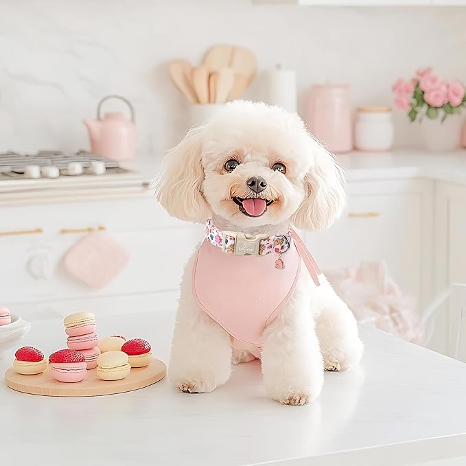 Cute Dinosaur Dog Collar, Adjustable Pink Dino Dog Collars for Medium Dogs, Lightweight Quick-Release Buckle Birthday Collar for Boy&Girl Dogs M