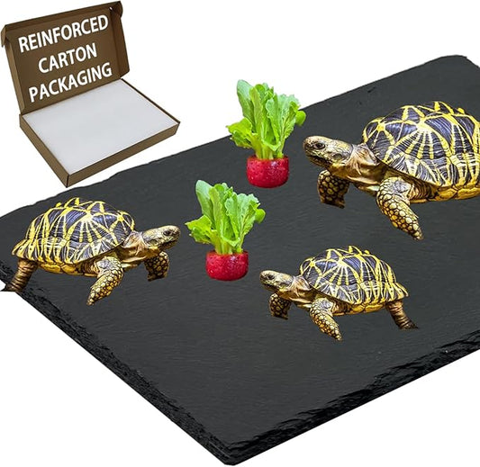 Extra Large 15.7 × 11.8" Reptile Basking Platform, Reptile Slate, Basking Rock, Slate Tiles Rocks for Reptiles,Terrarium Bowls for Bearded Dragon Tortoise Turtle Ball Python Snake Lizard Gecko