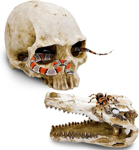 Tfwadmx Human and Crocodile Skull Decor, Snake Hide, Tarantula Enclosure Accessories, Resin Skull Reptile Terrarium Tank Decor for Geckos, Lizards, Spiders