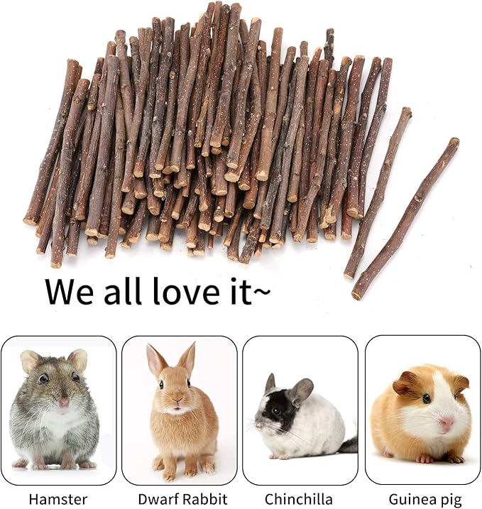 Natural Apple Sticks, 100g Treats Food for Small Animals, Chew Toys for Chinchilla Guinea Pigs Rabbit Squirrel Hamster Bunny (100g)