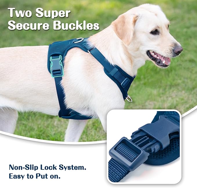 No Pull Dog Harness for Small Medium Large Dogs - Adjustable Two-Layer Mesh Dog Vest with Dual Clip, Escape Proof, Quick Release, Lightweight Breathable Mesh for Walking Hiking (Prussian Blue,S)