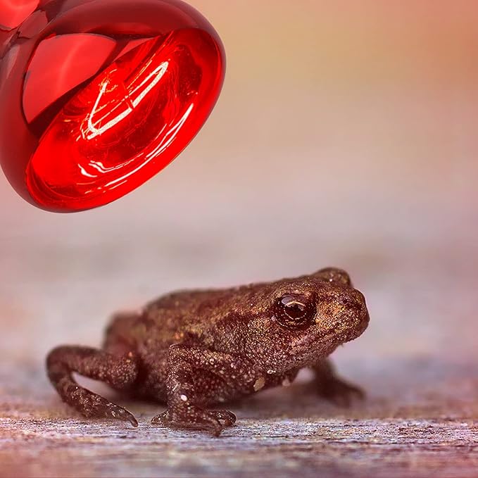 Aiicioo Reptile Red Night Light Bulb - 75W Reptile Heat Lamp Bulb Infrared Basking Spot Lamp for Bearded Dragon Lizard Turtle Hermit Crab Leopard Gecko Snake Chameleon Tank
