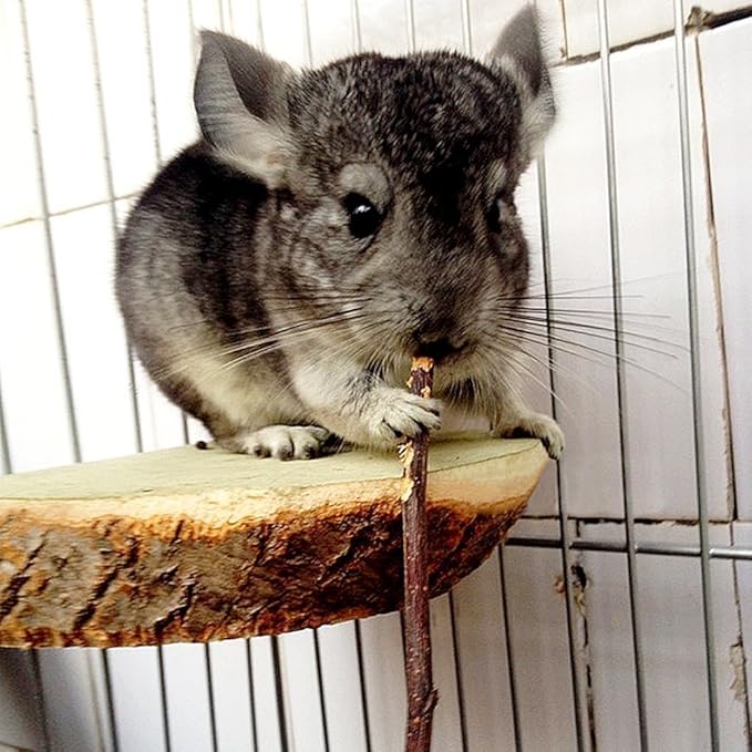 sharllen 200g (7.05oz) Natural Apple Sticks Wood Tree Branches Pet Snacks Chew Toys for Rabbit Hamsters Guinea Pig Chinchillas Squirrel and Other Small Animals