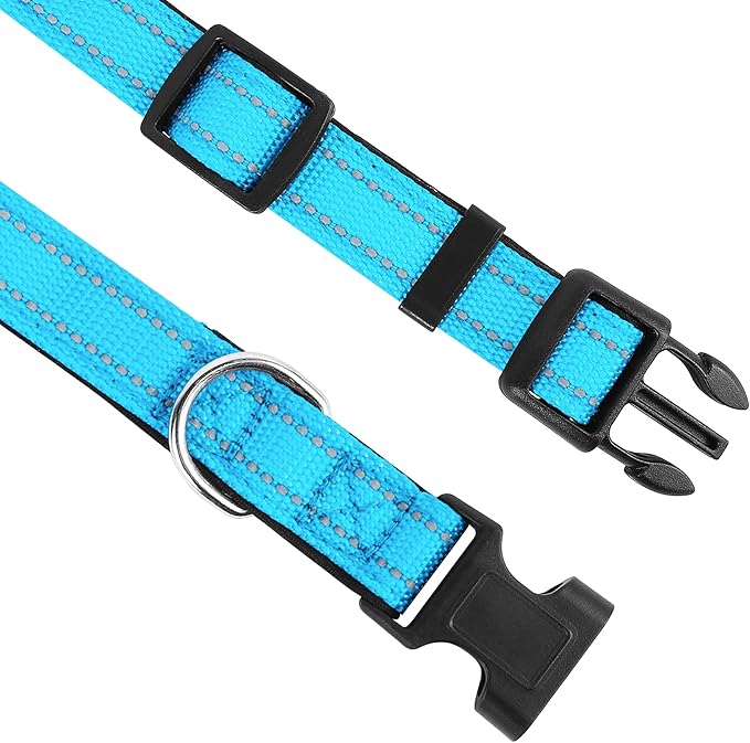Reflective Dog Collar, Adjustable Soft Neoprene Padded Nylon Pet Collars with Buckle for Small Dogs, Sky Blue,S