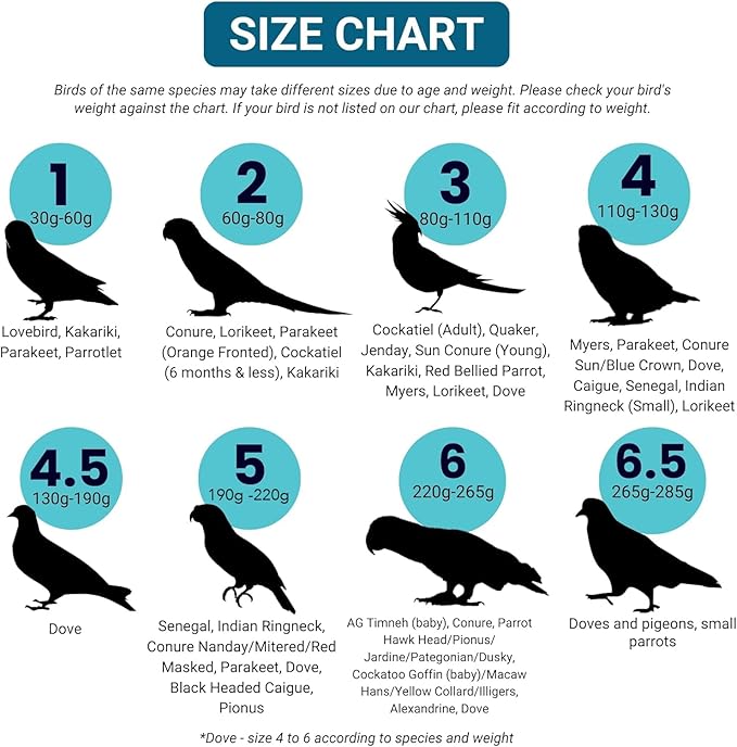 Bev's Bird Boutique Regular Flyper Adjustable Bird Diaper | Reusable, Washable Cloth | Comfort Fit for Parrot, Cockatiels, & Other Small Birds | Fashionable Avian Accessories, Pirate, Size 6.5