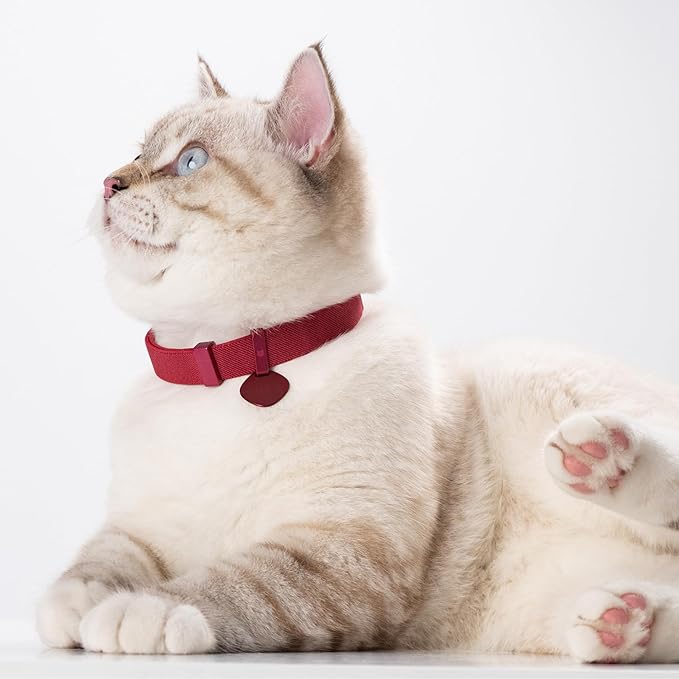 Safety Cat Collar Pro Pendant Tag Set - U.S. IDA Gold Award Design, Elastic Quick Release Non Breakaway Cat Collar Adjustable with Charm for Kitten Small Large Cats (Burgundy, S)
