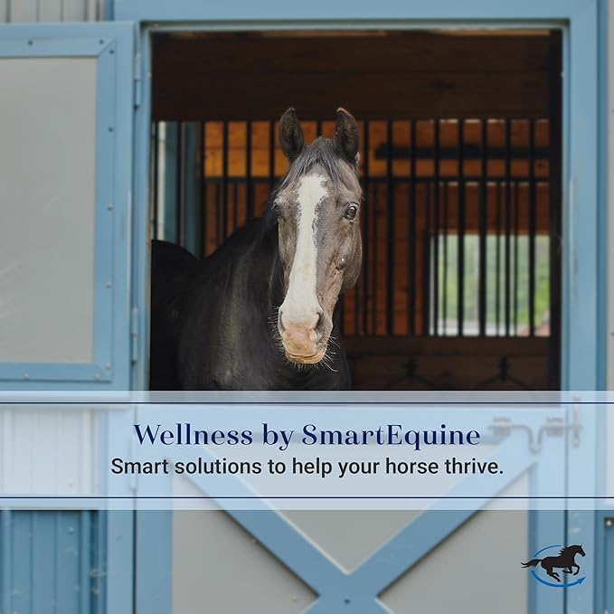 SmartEquine Slow Feed Hay Bag for Horses | Hay Feeder Net with Resistant Nylon | Gator Mouth Enclosure for Easy Loading | Fits 10-15 lbs of Hay | 4 Flakes Bag | 37" x 30" | Black | 1.5" Holes