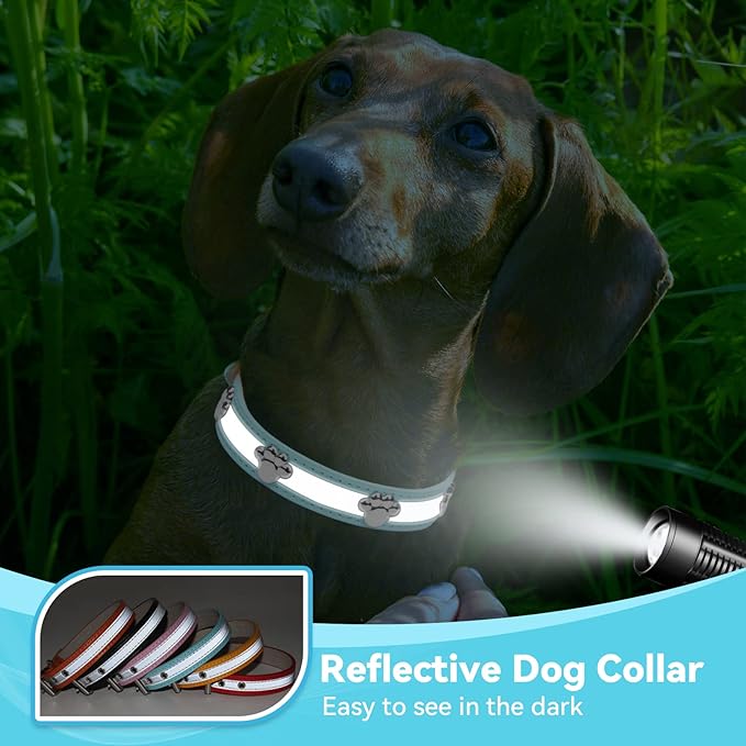 PETCARE Reflective Dog Collar with Cute Paw Rivet Studded Funny Soft PU Leather Adjustable Puppy Dog Collars for Small Medium Large Dogs Cats (Blue,X-Large)