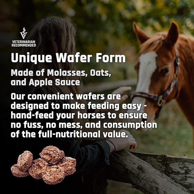 Majesty's Biotin Wafers - Superior Horse / Equine Hoof and Coat Support Supplement - Copper, Zinc, Lysine, Methionine - 30 Count (1 Month Supply)