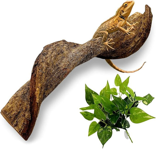 BNOSDM Reptile Climbing Branches Decor,Snake Climbing Branch,Gecko Climb Wood,Lizard Bold Forest Branch,Tank Habitat Tree Trunk Decorations for Bearded Dragons,Chameleons,Spider,Frogs,2.5-3.25" T
