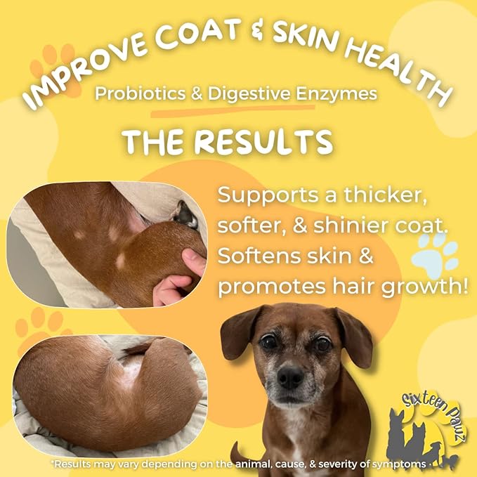 Dog & Cat Probiotics, Prebiotics, & Digestive Enzymes – Flavorless Powder for Gut Health, Allergies, Itchy Skin, Gas & Diarrhea – Organic, Vet-Approved – 65g Bottle (Up to 65 Servings)