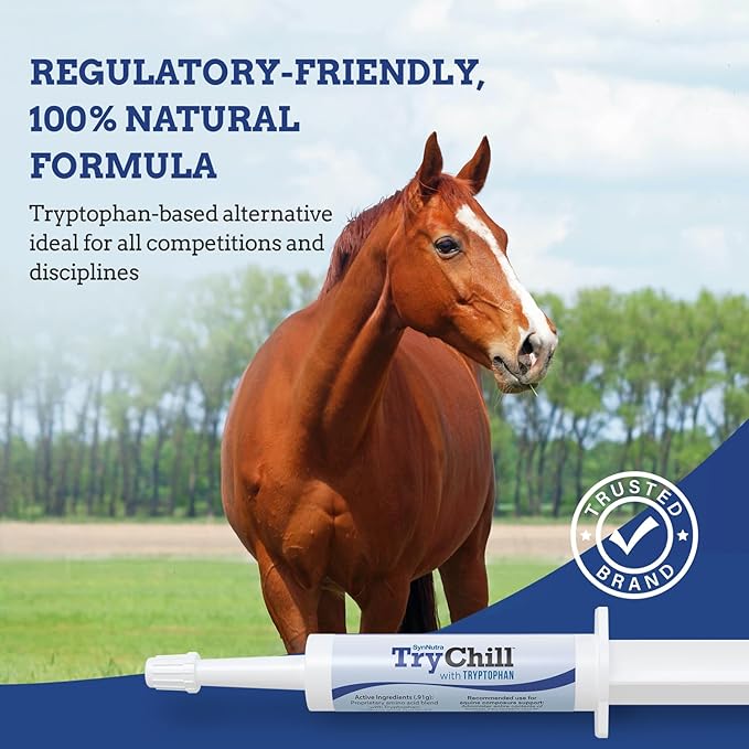 TryChill™ 3 Pack – L-Tryptophan-Based Support for Horses – Promotes a Composed Demeanor Without Sedation – Enhances Focus, Confidence & Performance – 100% Natural & Competition Safe