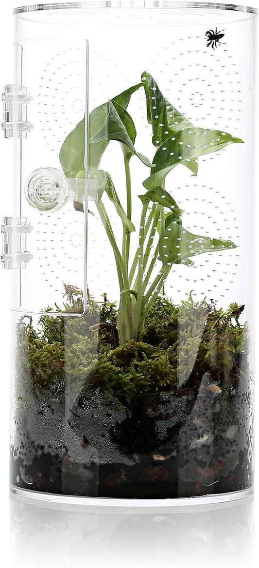 Jumping Spider Enclosure, 11.5”*6”*6”, Air Hole 3/64" Micro Habitat Terrariums, Arboreal Reptile Tank with Front Opening Door,Tarantula Enclosure, Plant Greenhouse
