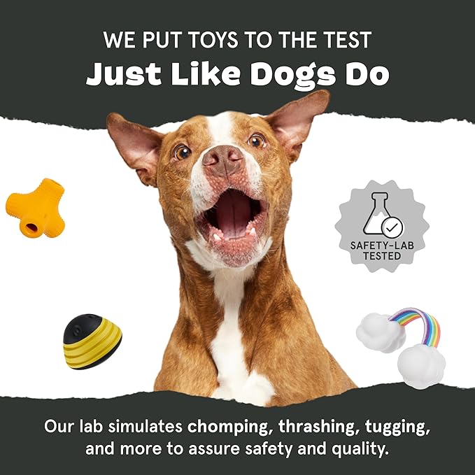 Barkbox Torbert The Troll Dog Toy for Large Dogs, Natural Rubber with Wacky Bounce Perfect for Aggressive Chewers and Long-Lasting Playtime
