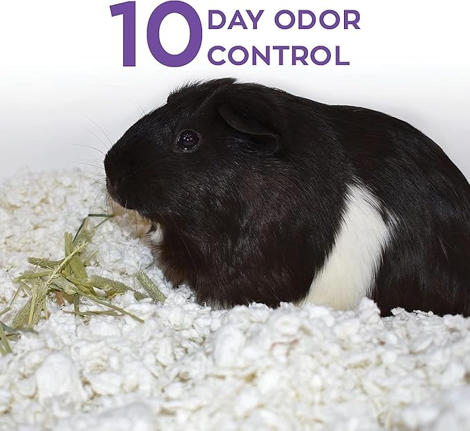 Carefresh 99% Dust-Free White Natural Paper Small Pet Bedding with Superior 10 Day Odor Control & Absorption, for Guinea Pigs, Hamsters, Rabbits, & Rats, 60 L