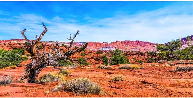 AWERT 36x18 inches Reptile Habitat Background Blue Sky Oasis Orange Desert Terrarium Background Durable Polyester Background