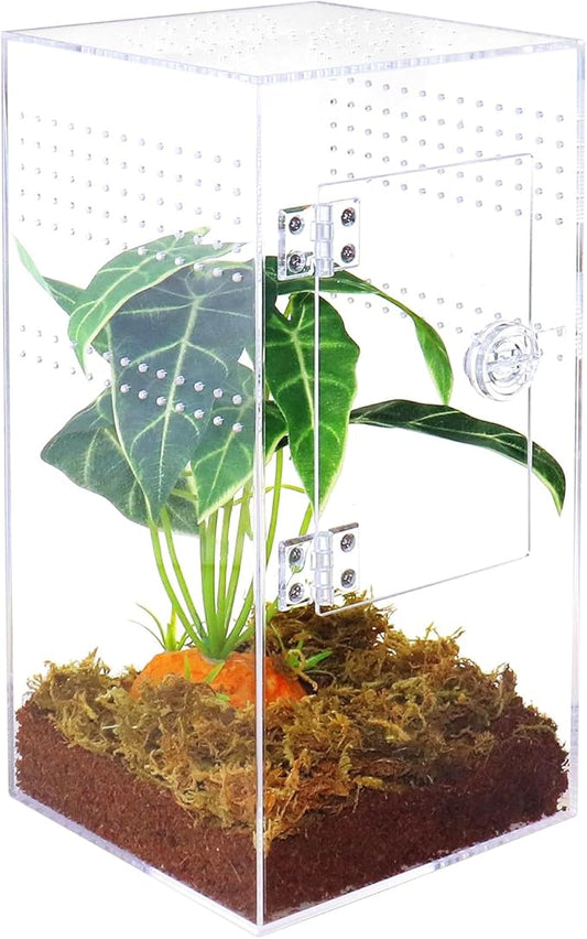 NANEEZOO Jumping Spider Enclosure with Front Opening Door, 6"x6"x12" Reptile Breeding Box Micro Habitat Terrarium for Small Tree Dwelling Reptiles, Spiders, Mantis & Invertebrates