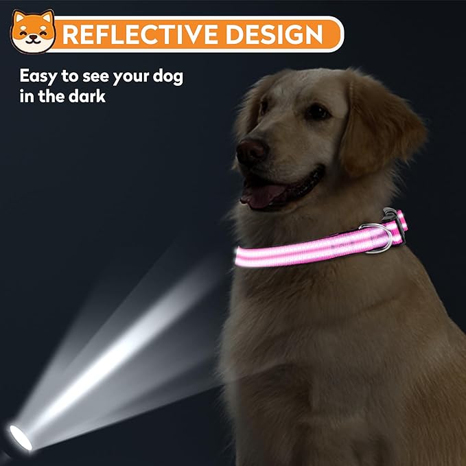 Reflective Dog Collar, Adjustable Soft Neoprene Padded Nylon Pet Collars with Buckle for Puppy and Small Dogs, Cats,Rose Red,XS