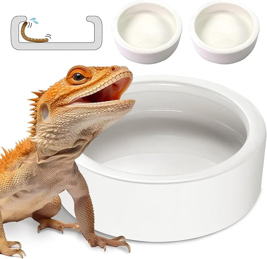 Worm Dish - Large 2 Pcs Reptile Food & Water Bowl for Lizard, Gecko, Chameleon, Hermit Crab, Bearded Dragon & More - Ceramic Anti-Escape Mini Reptile Feeder