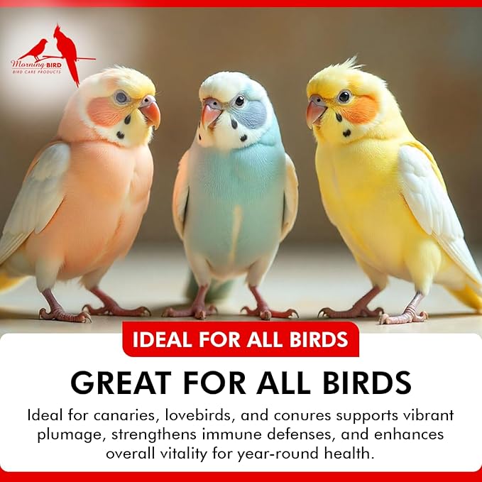 Morning Bird Bee Pollen Powder for Birds 3 Oz – Complete Nutrition with Protein, Amino Acids & Immune Support – Bird Vitamin & Mineral Supplement for Daily Health & Wellness