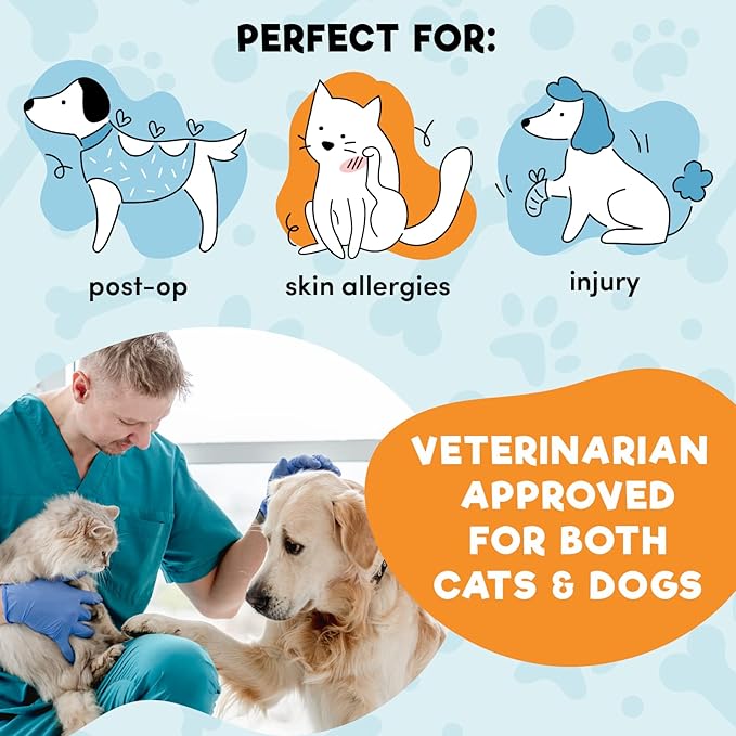 BENCMATE Inflatable Dog Cone Collar Alternative, Soft Dog Cone for Small Medium Large Dogs and Cats, Neck Recovery ECollar Donut Collar After Surgery (Small, Purple)