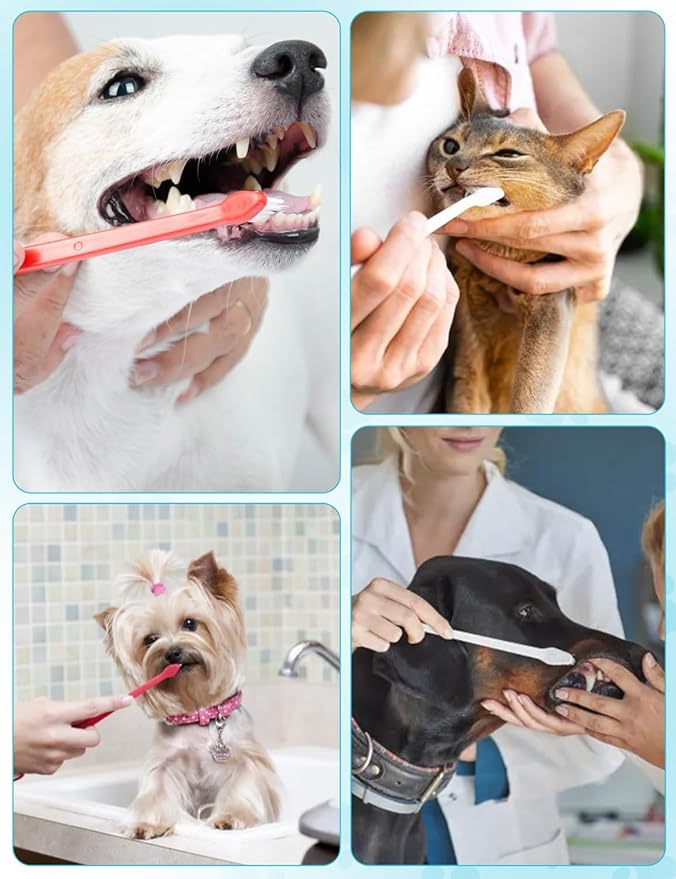 200 Pcs Dog Toothbrush, Pet Double Sided Brushing Kit Long Handle Soft Bristles Dogs Tooth Brush for Small to Large Dog, Cat, Puppy & Kitten, 10 Colors