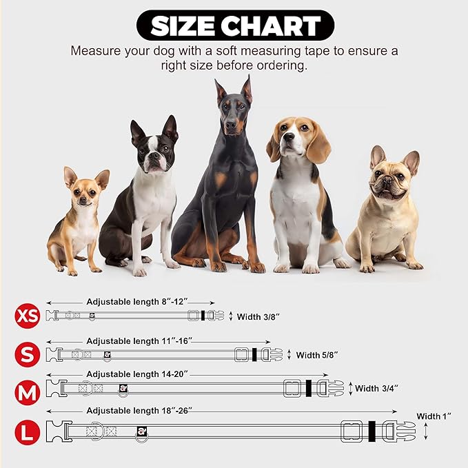 azuza Reflective Dog Collar with Airtag Holder, Soft Neoprene Padded Pet Collar with ID Tag Ring, Adjustable for Puppy and Small Dogs,Teal,XS