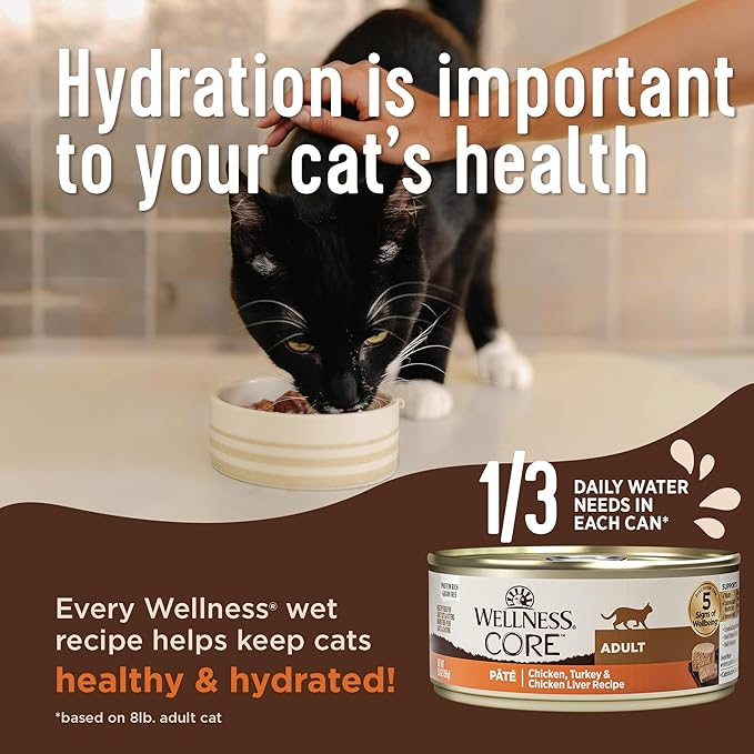 Wellness CORE+ Digestive Health Pate Adult Wet Cat Food, Natural, Protein-Rich, Grain Free, 3 Ounce, 12 Pack (Salmon & Whitefish Variety Pack)