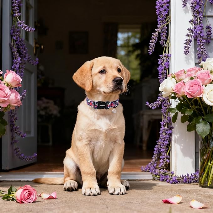 DOGWONG Blue Flower Dog Collar, Cute Adjustable Floral Collar, Girl Female Dog Collar with Strong Plastic Buckle for Small Medium Large Dogs,S