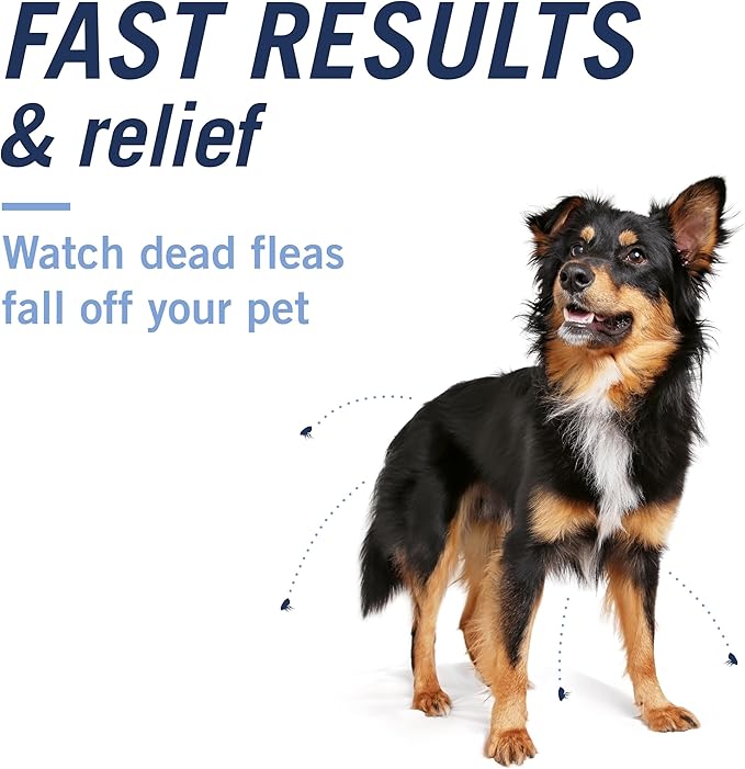 PetArmor CAPACTION (nitenpyram) Oral Flea Treatment for Dogs, Fast Acting Tablets Start Killing Fleas in 30 Minutes, Dogs Over 25 lbs, 6 Doses