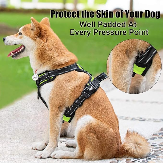 PoyPet No Pull Dog Harness, Reflective Comfortable Vest Harness with Front & Back 2 Leash Attachments and Easy Control Handle Adjustable Soft Padded Pet Vest for Small to Large Dogs (Green,S)