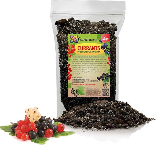 Gardenera Premium Currant Plant Potting Soil Mix - Optimal Nutrient-Rich Blend for Thriving and Juicy Currants - 2 Quart