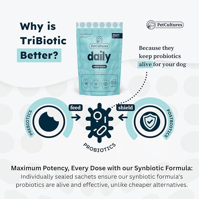 Daily Synbiotic Formula - A TriBiotic Blend with 6 Strains, B-Vitamins, and Digestive Enzymes in 30 Packs
