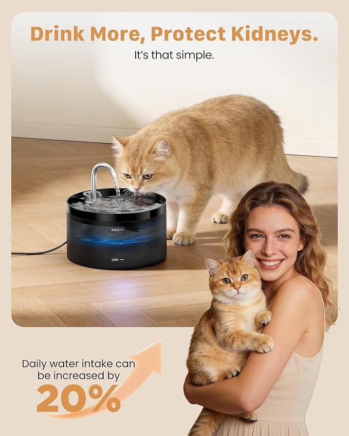 Cat Water Fountain: Dog Bowl Fountains - Automatic Pet Dispenser - Dogs Drinking Waterer Bowls Indoor - Auto Watering Dish Supplies - Easy Cleaning Animal Machine - Quiet 67oz/2L Kitty Drink Fountain