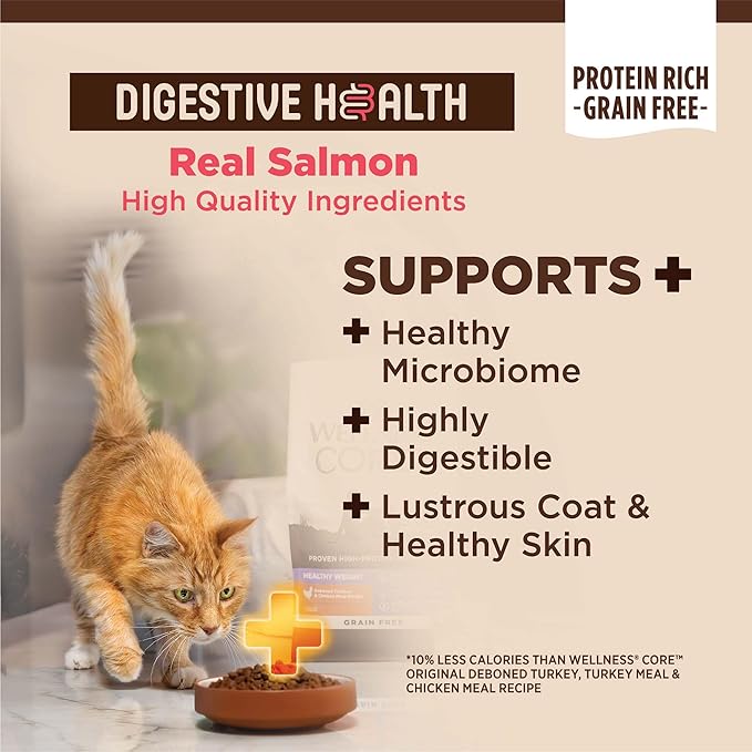 Wellness CORE+ Adult Dry Cat Food for Indoor and Outdoor Cats, Wholesome Grains, Natural, Digestive Health Salmon & Rice (11 Pound Bag)