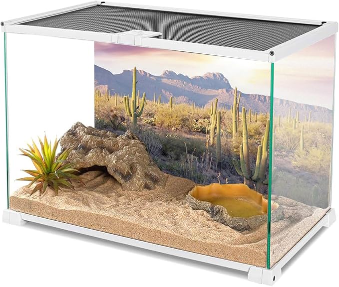 AWERT Reptile Habitat Background Blue Sky Oasis Mountain Cactus Sun and Desert Terrarium Background 72x24 inches