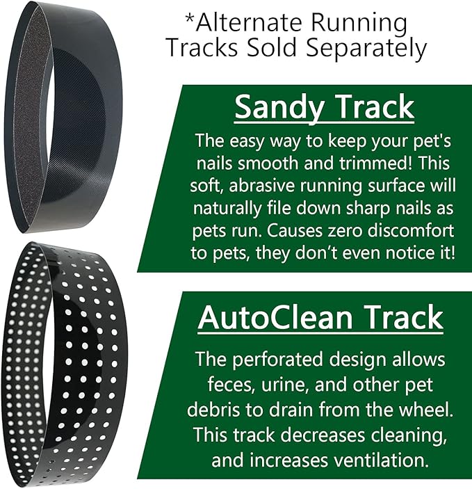 Silent Runner Glow Wheel - 12" Regular - Exercise Wheel (Wheel + Autoclean Track + Cage Attachment)