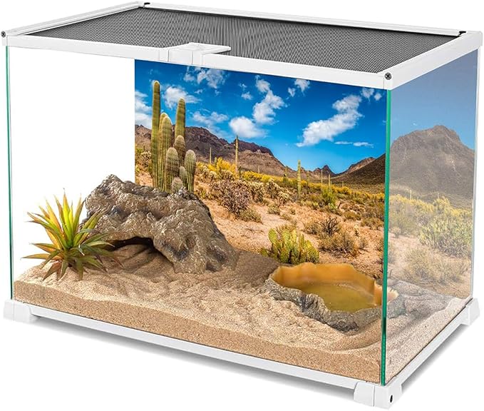 AWERT 60x24 inches Reptile Habitat Background Blue Sky Oasis Cactus Desert Terrarium Background Vinyl