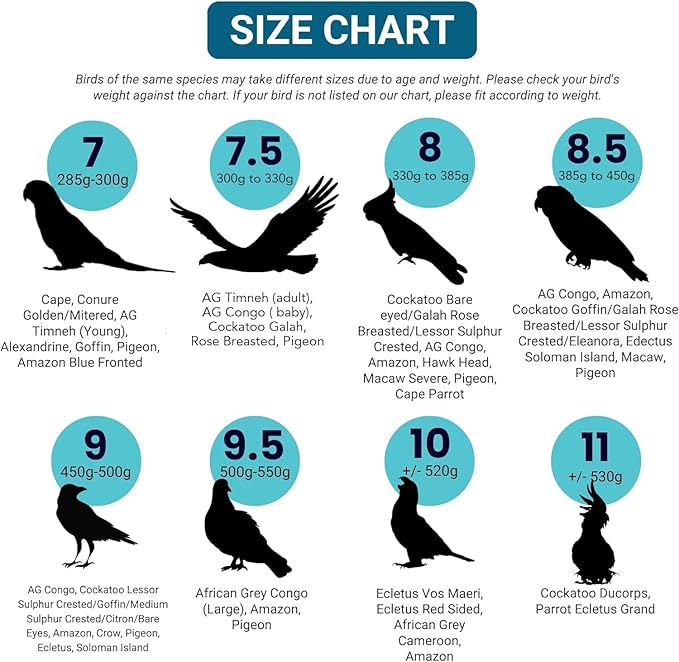Bev's Bird Boutique Regular Flyper Adjustable Bird Diaper | Reusable, Washable Cloth | Comfort Fit for Parrot, Cockatiels, & Other Small Birds | Fashionable Avian Accessories, Retro Tux, Size 9.5