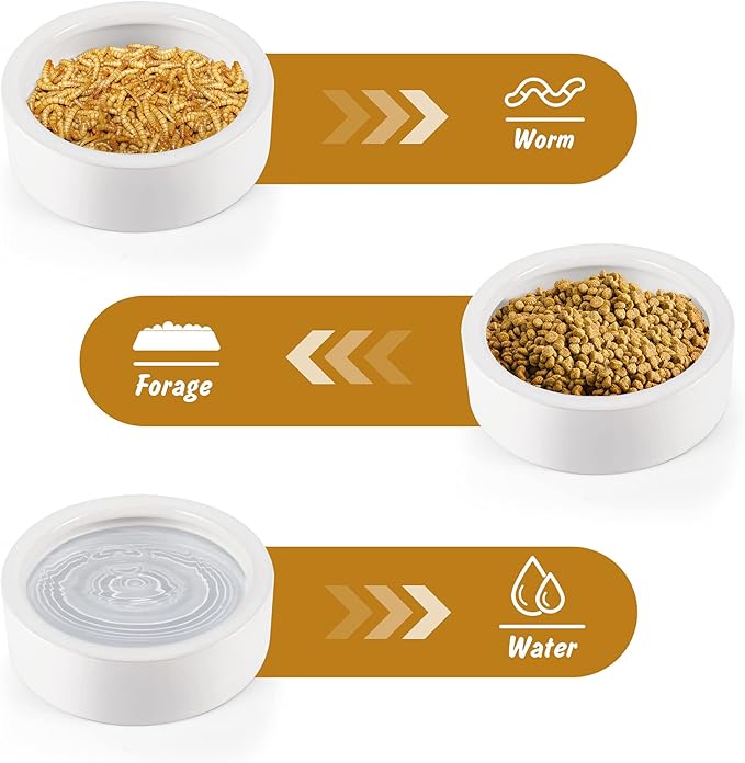 Worm Dish - Large 2 Pcs Reptile Food & Water Bowl for Lizard, Gecko, Chameleon, Hermit Crab, Bearded Dragon & More - Ceramic Anti-Escape Mini Reptile Feeder