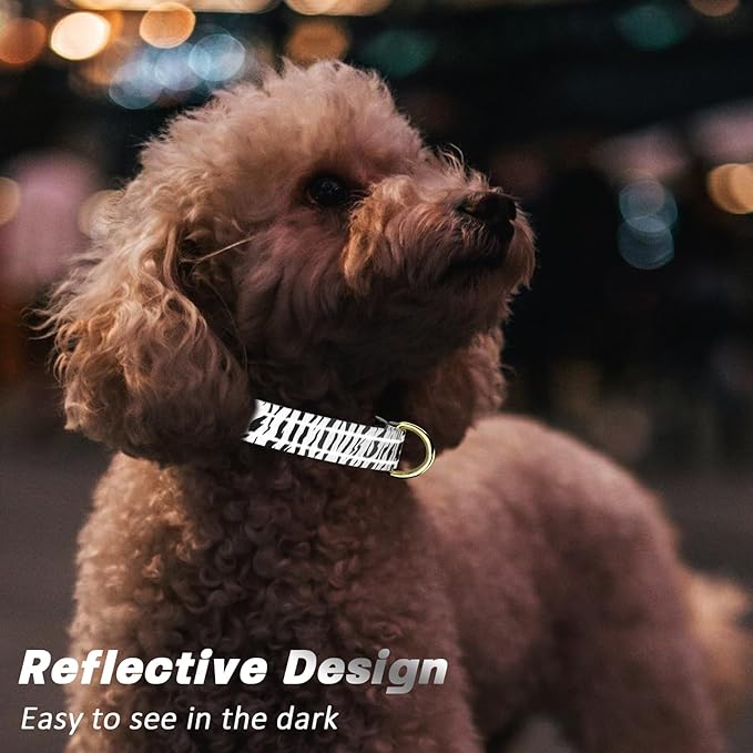 Reflective Dog Collar for Medium Dogs, Cute Boho Adjustable Heavy-Duty Nylon Puppy Collar for Boy and Girl Female, Soft Pet Accessories with Quick Release Buckle, Stylish Zebra Print