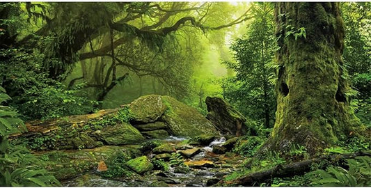 AWERT Tropical Forest Terrarium Background Stream Green Huge Tree Reptile Habitat Background Foggy Rainforest Aquarium Background 72x16 inches Durable Polyester Background