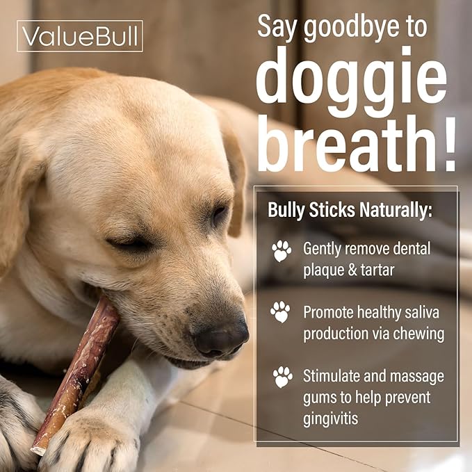 ValueBull Bully Sticks for Dogs, Medium 12 Inch, 100 Count - All Natural, Grass Fed, Single Ingredient, Long Lasting Dog Treats