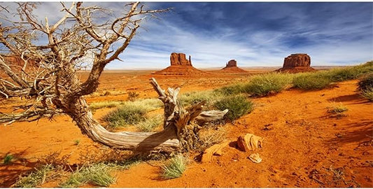 AWERT 24x16 inches Reptile Habitat Background Orange Desert Terrarium Background Durable Polyester Background
